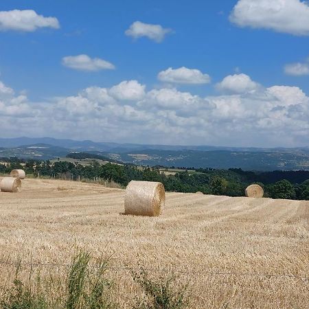 Gite Le Petit Nice Pradelles Exteriör bild