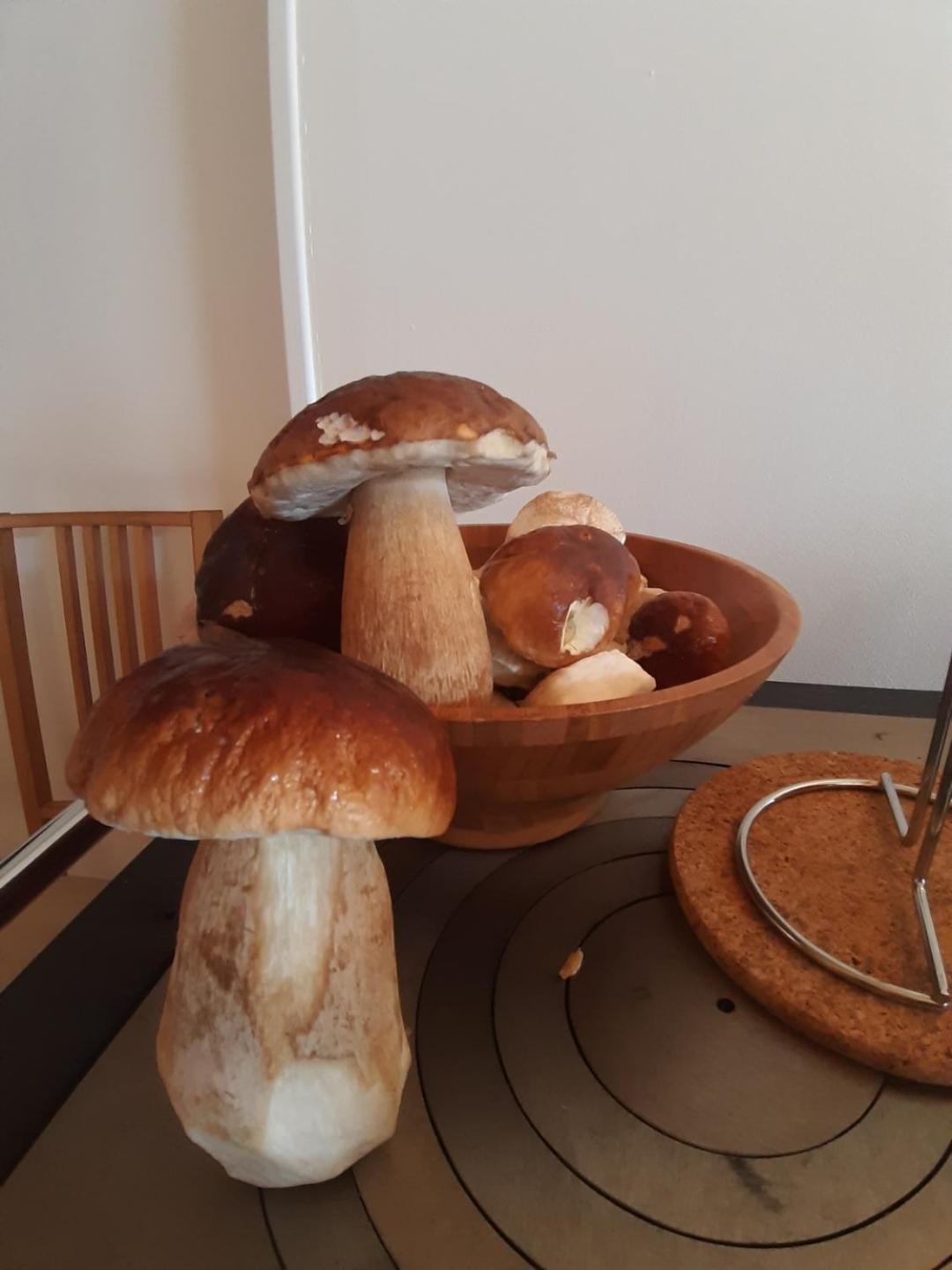Gite Le Petit Nice Pradelles Exteriör bild