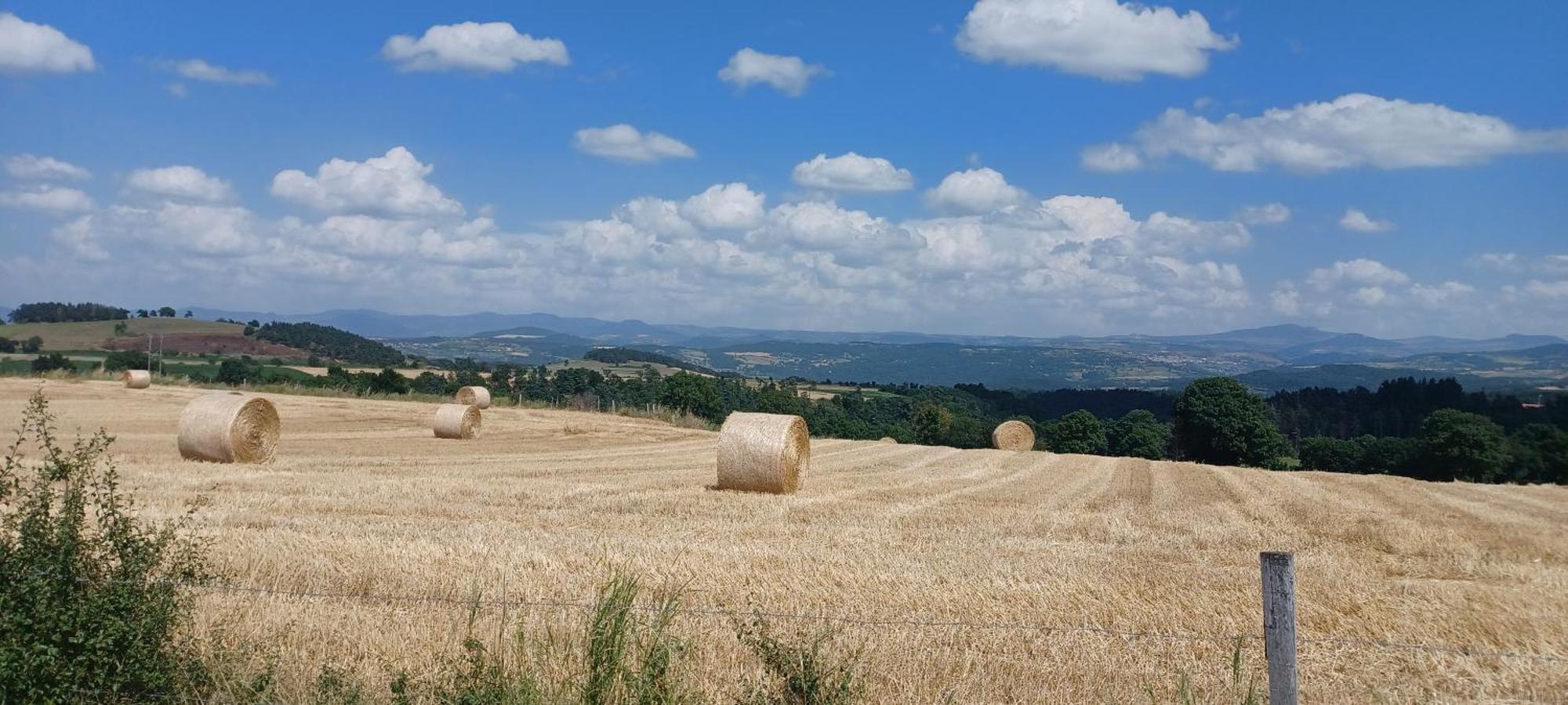 Gite Le Petit Nice Pradelles Exteriör bild